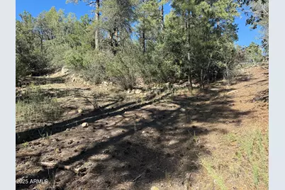 6536 E 90 and 9 Road #-, Crown King, AZ 86343 - Photo 8