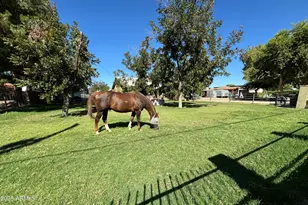 18950 E Via De Palmas, Queen Creek, AZ 85142 - Photo 1