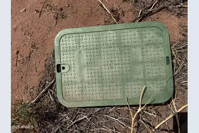 Lot 4 Ranch Of The White Mountains -- #4, Concho, AZ 85924 - Photo 6