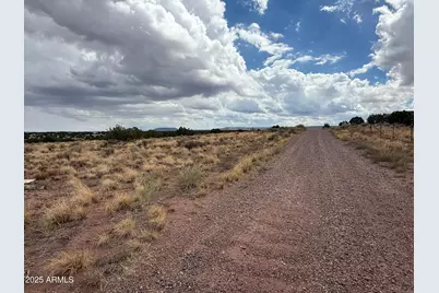 Lot 4 Ranch Of The White Mountains -- #4, Concho, AZ 85924 - Photo 2