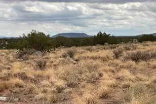 Lot 4 Ranch Of The White Mountains --, Concho, AZ 85924 - Photo 1