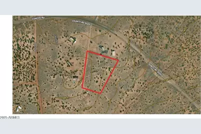 Lot 4 Ranch Of The White Mountains -- #4, Concho, AZ 85924 - Photo 4