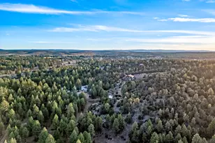 2262 Meadow Trail, Overgaard, AZ 85933 - Photo 58