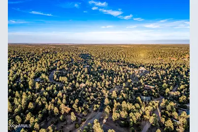 2262 Meadow Trail --, Overgaard, AZ 85933 - Photo 56