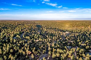 2262 Meadow Trail, Overgaard, AZ 85933 - Photo 56