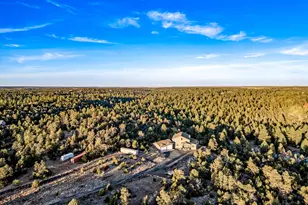 2262 Meadow Trail, Overgaard, AZ 85933 - Photo 98