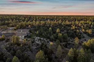 2262 Meadow Trail, Overgaard, AZ 85933 - Photo 2