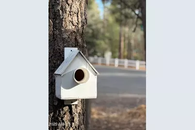 3122 S Briarwood Lane, Pinetop, AZ 85935 - Photo 46