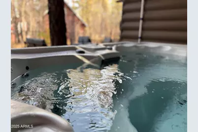 3122 S Briarwood Lane, Pinetop, AZ 85935 - Photo 36