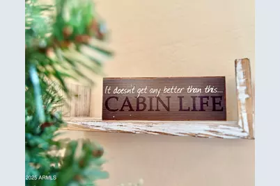 3122 S Briarwood Lane, Pinetop, AZ 85935 - Photo 30