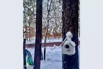 3122 S Briarwood Lane, Pinetop, AZ 85935 - Photo 62