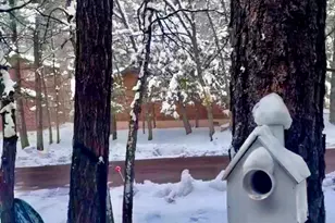 3122 S Briarwood Ln, Pinetop, AZ 85935 - Photo 62