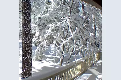 3122 S Briarwood Lane, Pinetop, AZ 85935 - Photo 60