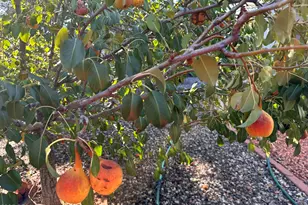 3461 E Tower Dr, Cottonwood, AZ 86326 - Photo 18