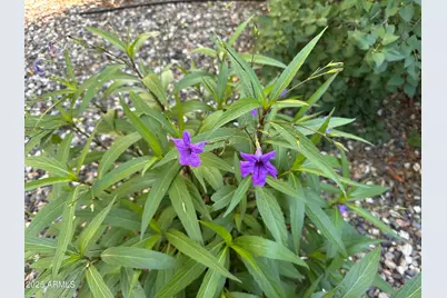 3461 E Tower Drive, Cottonwood, AZ 86326 - Photo 16