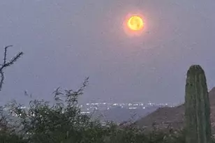 42035 N 113th Way, Scottsdale, AZ 85262 - Photo 74