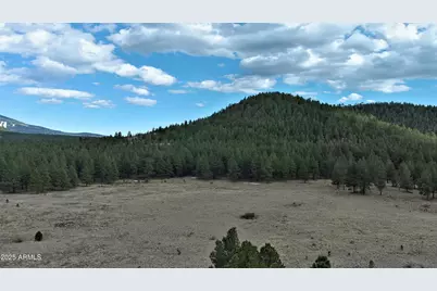 0 Forest Road 193 --, Flagstaff, AZ 86001 - Photo 4
