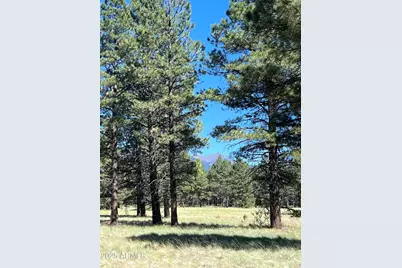 0 Forest Road 193 --, Flagstaff, AZ 86001 - Photo 1