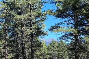 0 Forest Road 193 --, Flagstaff, AZ 86001 - Photo 1
