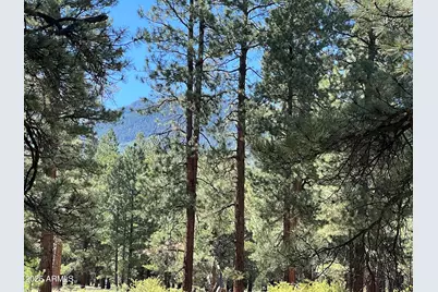 0 Forest Road 193 --, Flagstaff, AZ 86001 - Photo 8