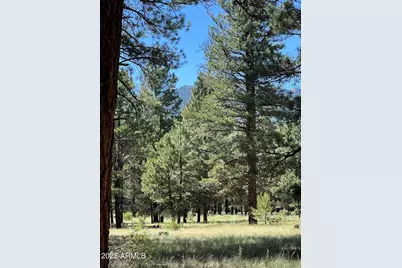 0 Forest Road 193 --, Flagstaff, AZ 86001 - Photo 10