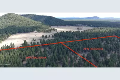 0 Forest Road 193 Street, Flagstaff, AZ 86001 - Photo 2
