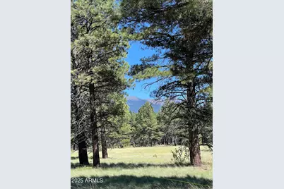 0 Forest Road 193 Street, Flagstaff, AZ 86001 - Photo 6