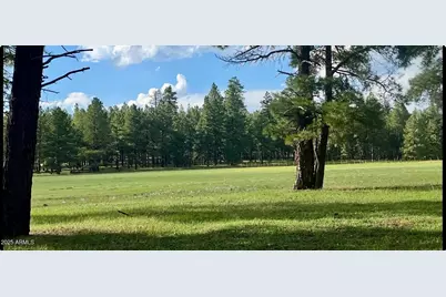 Xxxxx E Newman Park Rd -- #2, Flagstaff, AZ 86005 - Photo 4