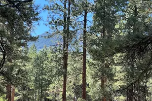 0 Forest Road 193 St, Flagstaff, AZ 86001 - Photo 1