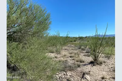+/-4Acres E Colossal Cave Road #-, Vail, AZ 85641 - Photo 12