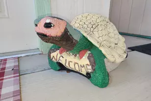 3809 N Ohio Ave, Florence, AZ 85132 - Photo 68