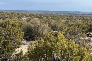N7421 N N7421 --, Saint Johns, AZ 85936 - Photo 1