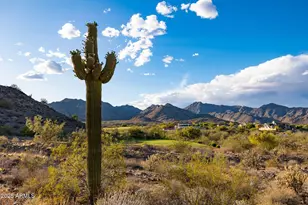 21606 W Palo Brea Cir, Buckeye, AZ 85396 - Photo 88