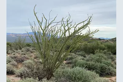 0 N 170 Streets #-/-/-, Rio Verde, AZ 85263 - Photo 4