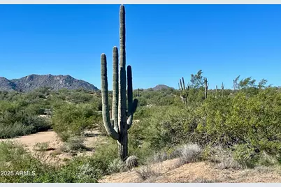356Xx N 142nd Place #-, Scottsdale, AZ 85262 - Photo 6