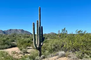 356Xx N 142nd Pl, Scottsdale, AZ 85262 - Photo 1