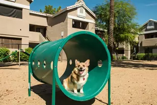 13440 N 44th St, Phoenix, AZ 85032 - Photo 12