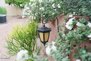 7937 E Monte Ave, Mesa, AZ 85209 - Photo 8