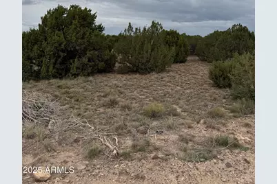 55 Acr 8050 -- #14, Concho, AZ 85924 - Photo 1