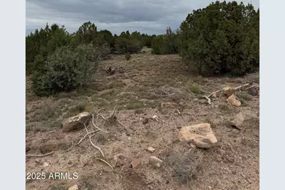 55 Acr 8050 -- #14, Concho, AZ 85924 - Photo 2
