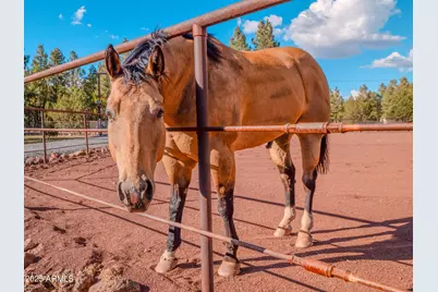 9233 W Outlaw Lane, Lakeside, AZ 85929 - Photo 76