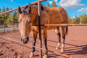 9233 W Outlaw Ln, Lakeside, AZ 85929 - Photo 76