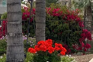 6127 W Donald Dr, Glendale, AZ 85310 - Photo 72