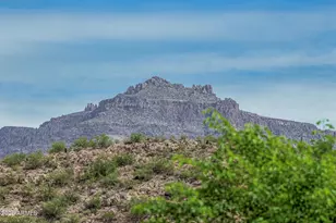 4365 S Columbine Way, Gold Canyon, AZ 85118 - Photo 38