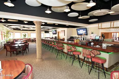 26205 S Ribbonwood Drive, Sun Lakes, AZ 85248 - Photo 64