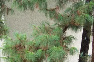 7625 E Camelback Rd, Scottsdale, AZ 85251 - Photo 24