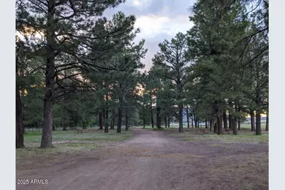 867 Crestview Drive, Mormon Lake, AZ 86038 - Photo 54