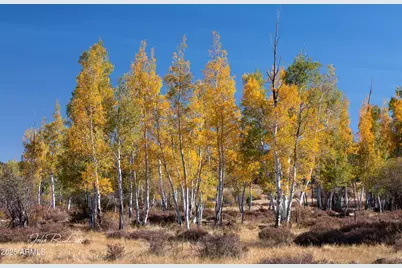 867 Crestview Drive, Mormon Lake, AZ 86038 - Photo 62