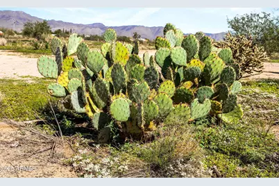 22055 W Sunrise Road #-, Congress, AZ 85332 - Photo 10