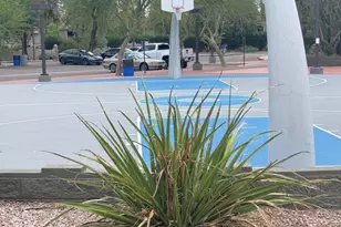 15225 N 100 Th St, Scottsdale, AZ 85260 - Photo 20